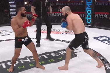 Vo si MMA khien doi thu do guc hinh anh