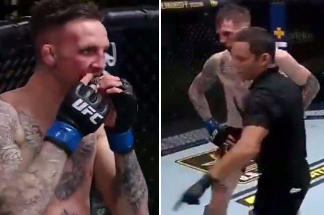 Trong tai dung tran de tim bao ho rang cho vo si hinh anh