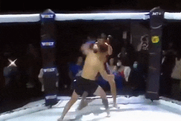 Vo si tan cong nham trong tai hinh anh