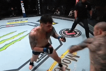 5 chien thang knock-out tai su kien UFC 256 hinh anh