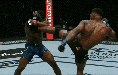 5 pha knock-out hay nhat UFC nam 2020 hinh anh