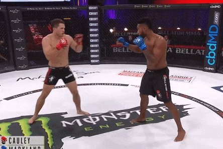 5 chien thang knock-out hay nhat Bellator MMA nam 2020 hinh anh