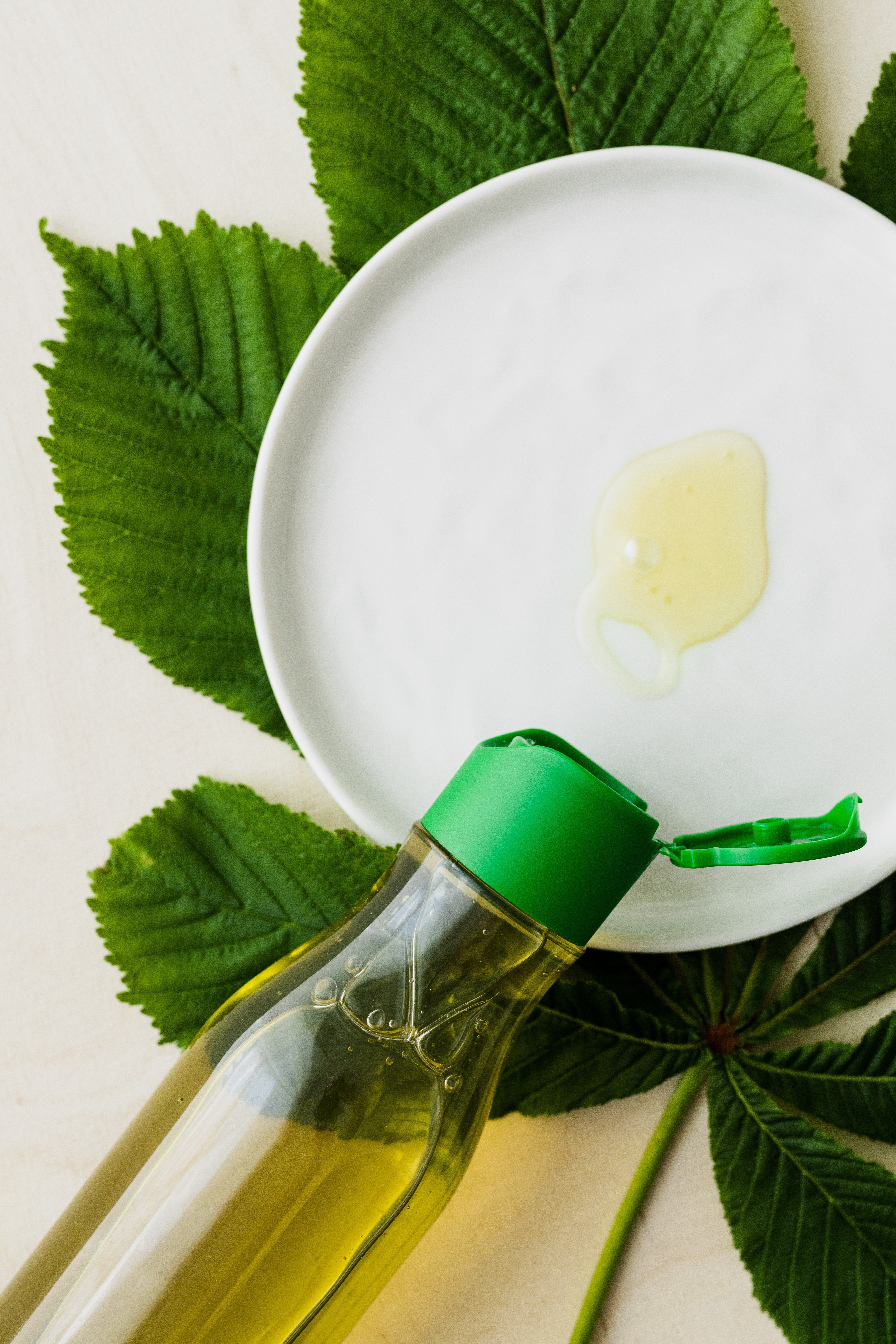 súc miệng bằng dầu  ảnh 3 suc mieng bang dau anh 3