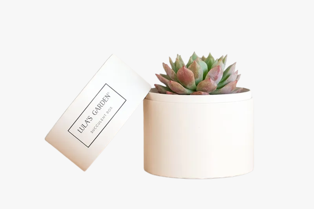 lam viec tai nha anh 51