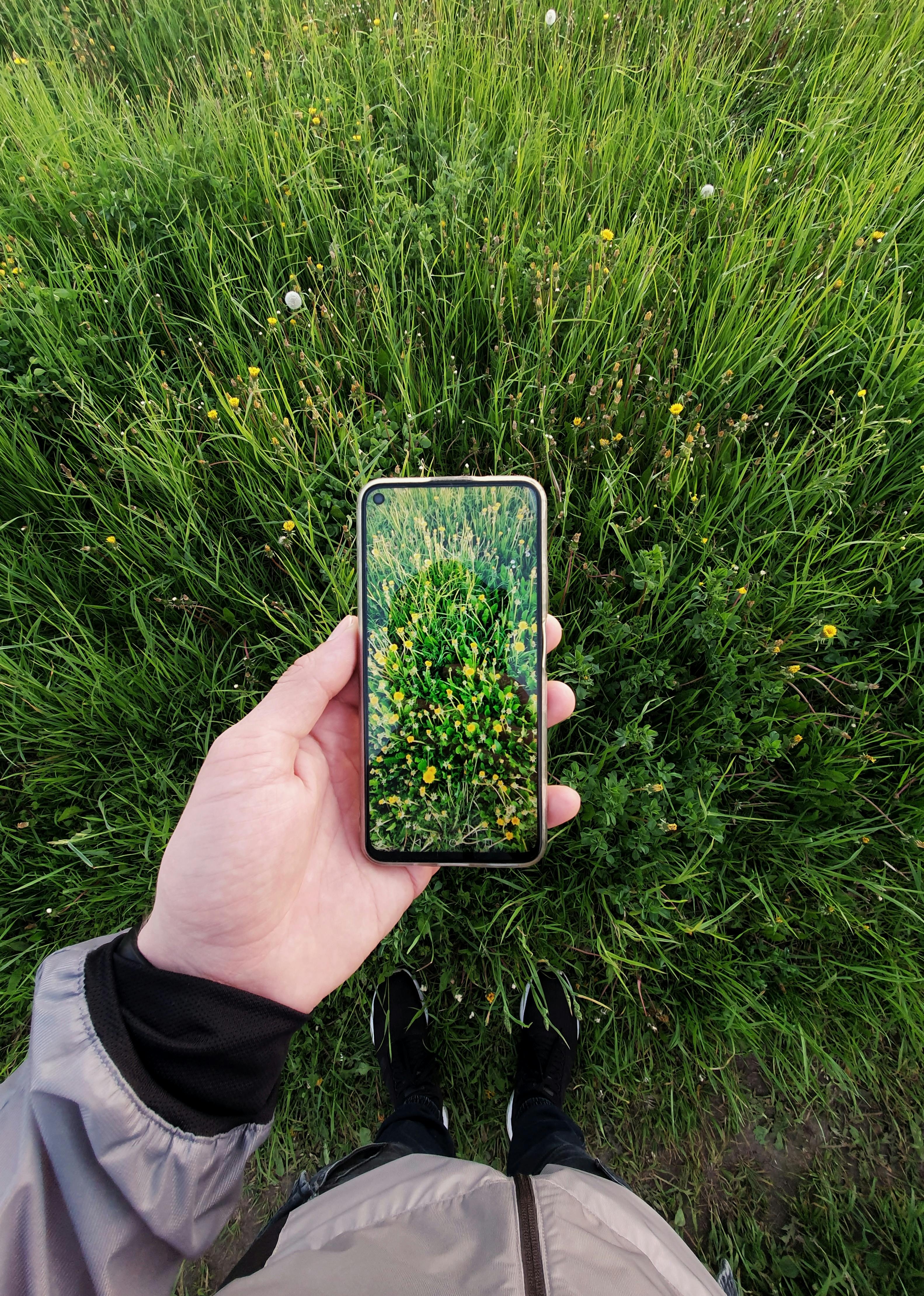 bai kiem tra mau sac, xanh lam xanh luc,  phan biet mau sac,  Patrick Mineault,  is my blue,  nhan thuc mau sac anh 7