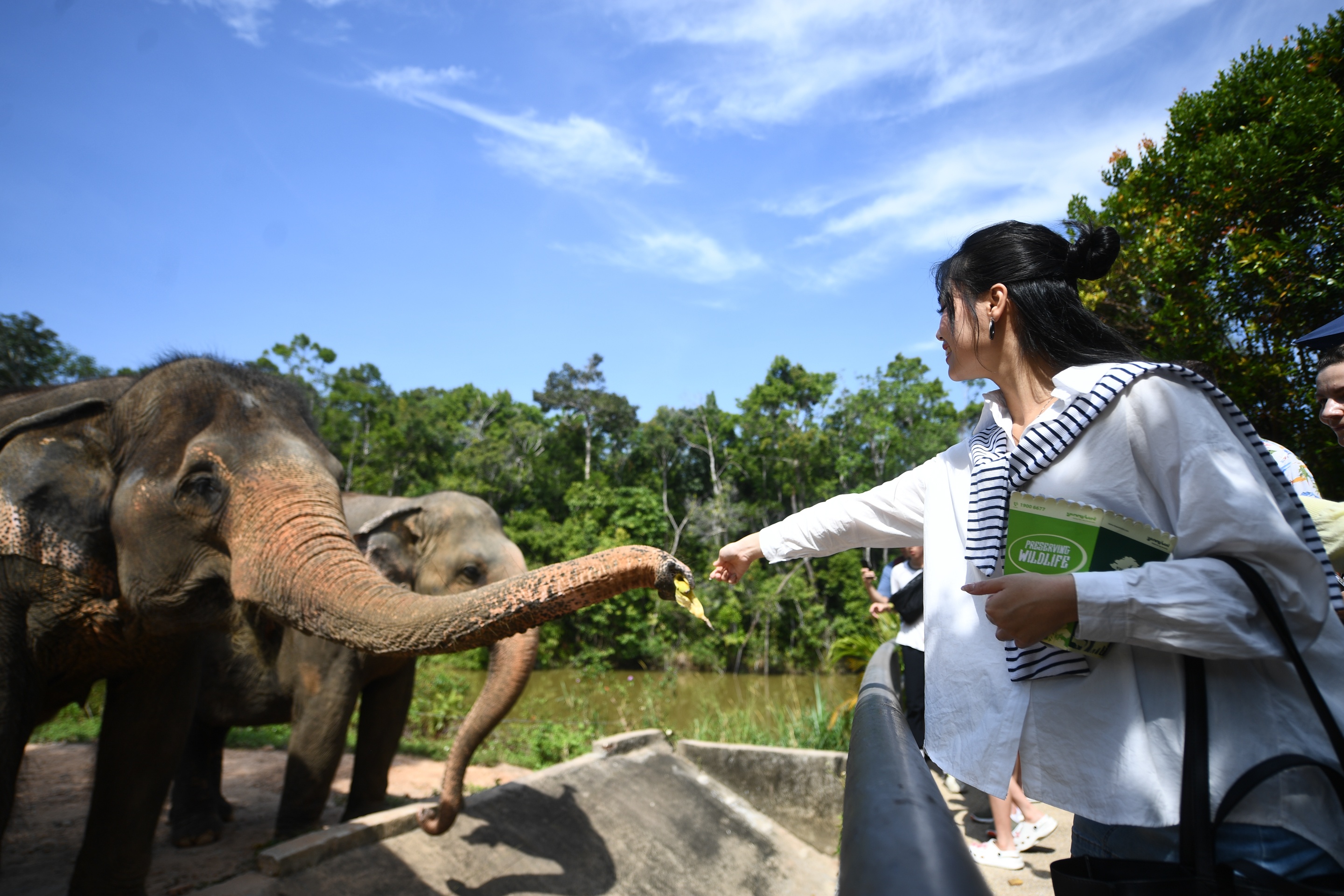 Phu Quoc United Center,  Vingroup,  Maroon 5 anh 17