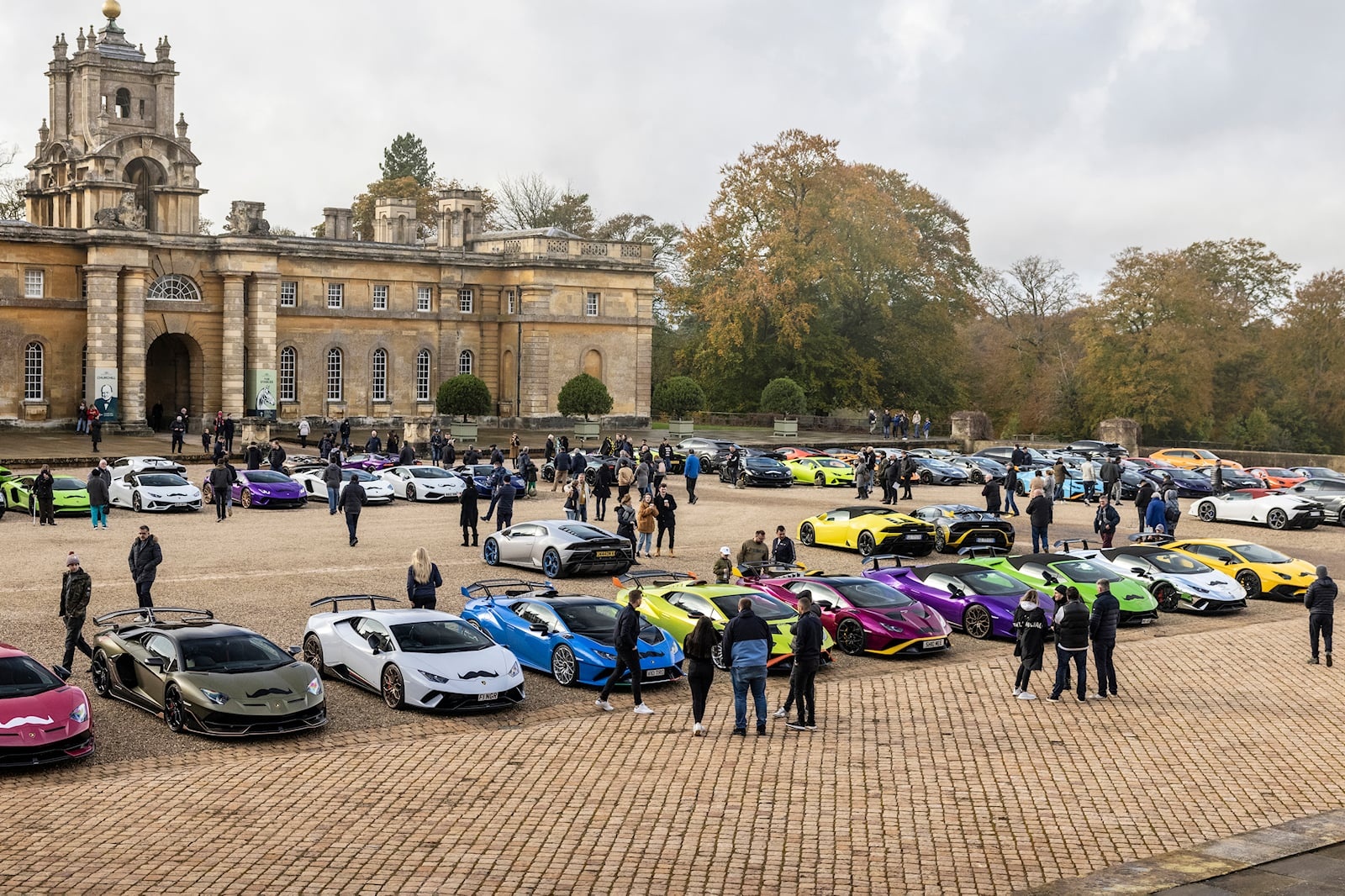 Lamborghini hội ngộ nhân dịp Movember ảnh 4 Lamborghini hoi ngo nhan dip Movember anh 4