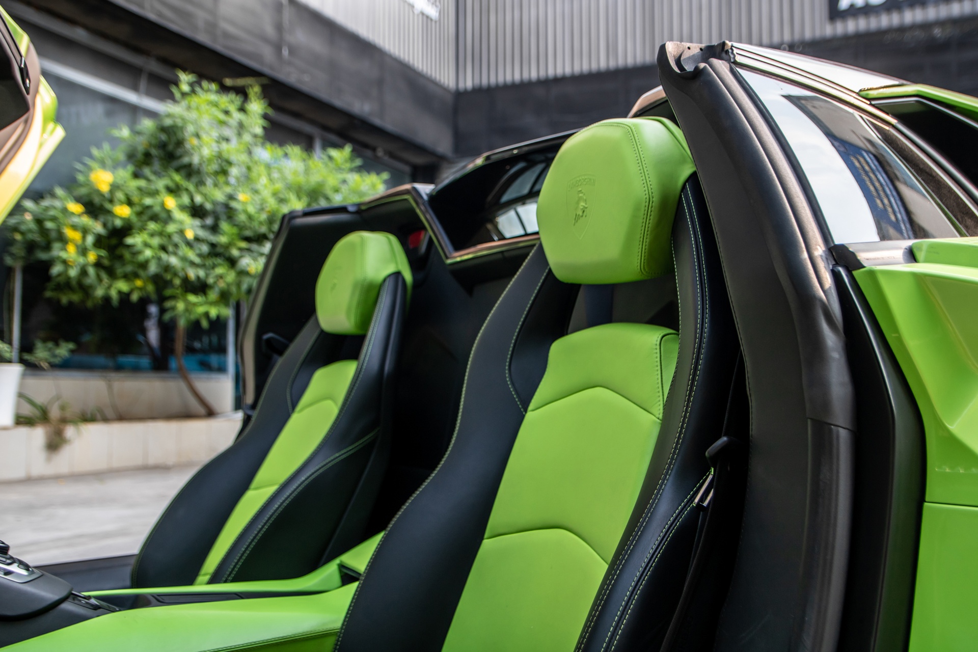 Lamborghini Aventador Roadster mau doc tai TP.HCM anh 17