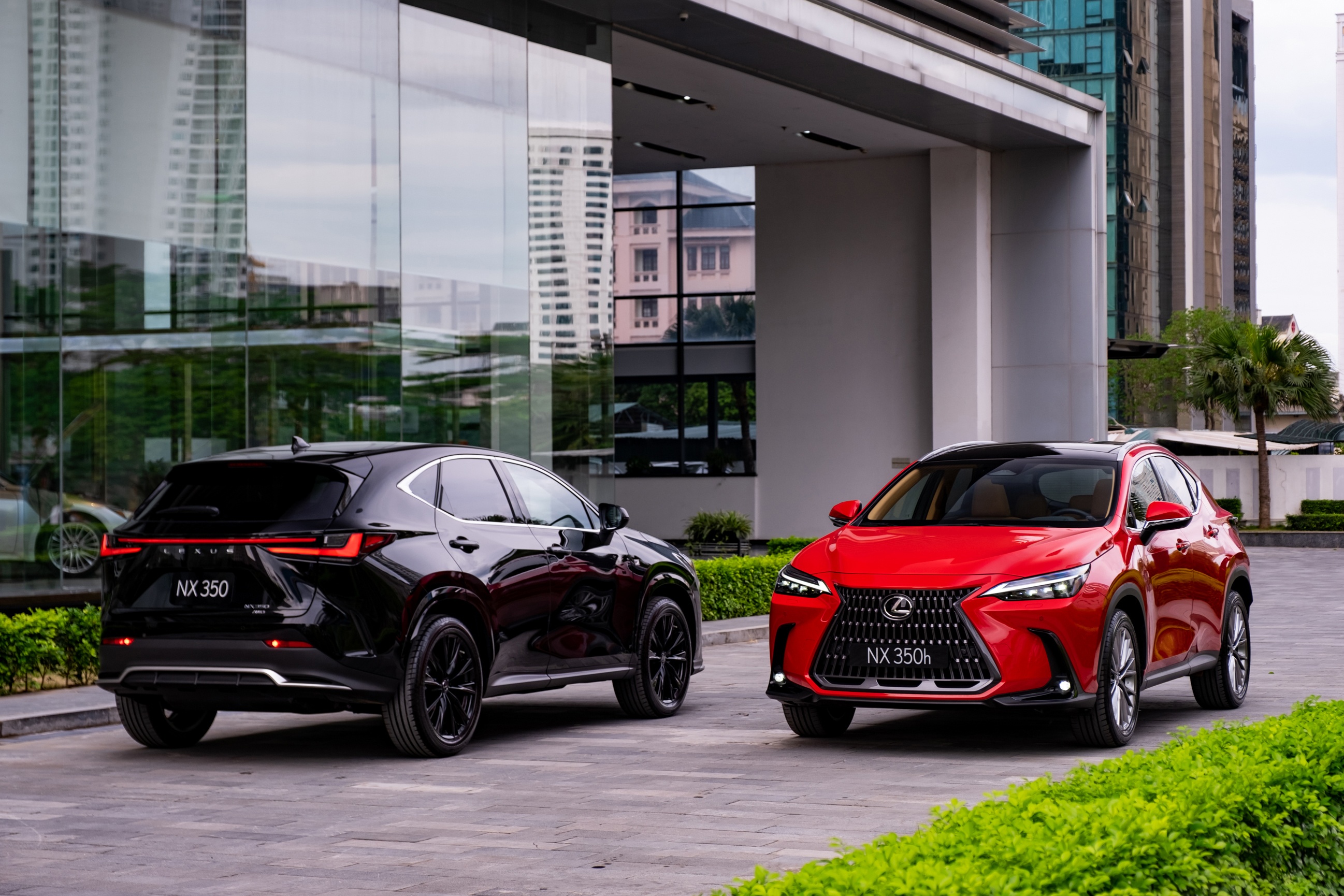 Lexus NX 2022 ra mat tai Viet Nam, gia tu 3,01 ty dong hinh anh