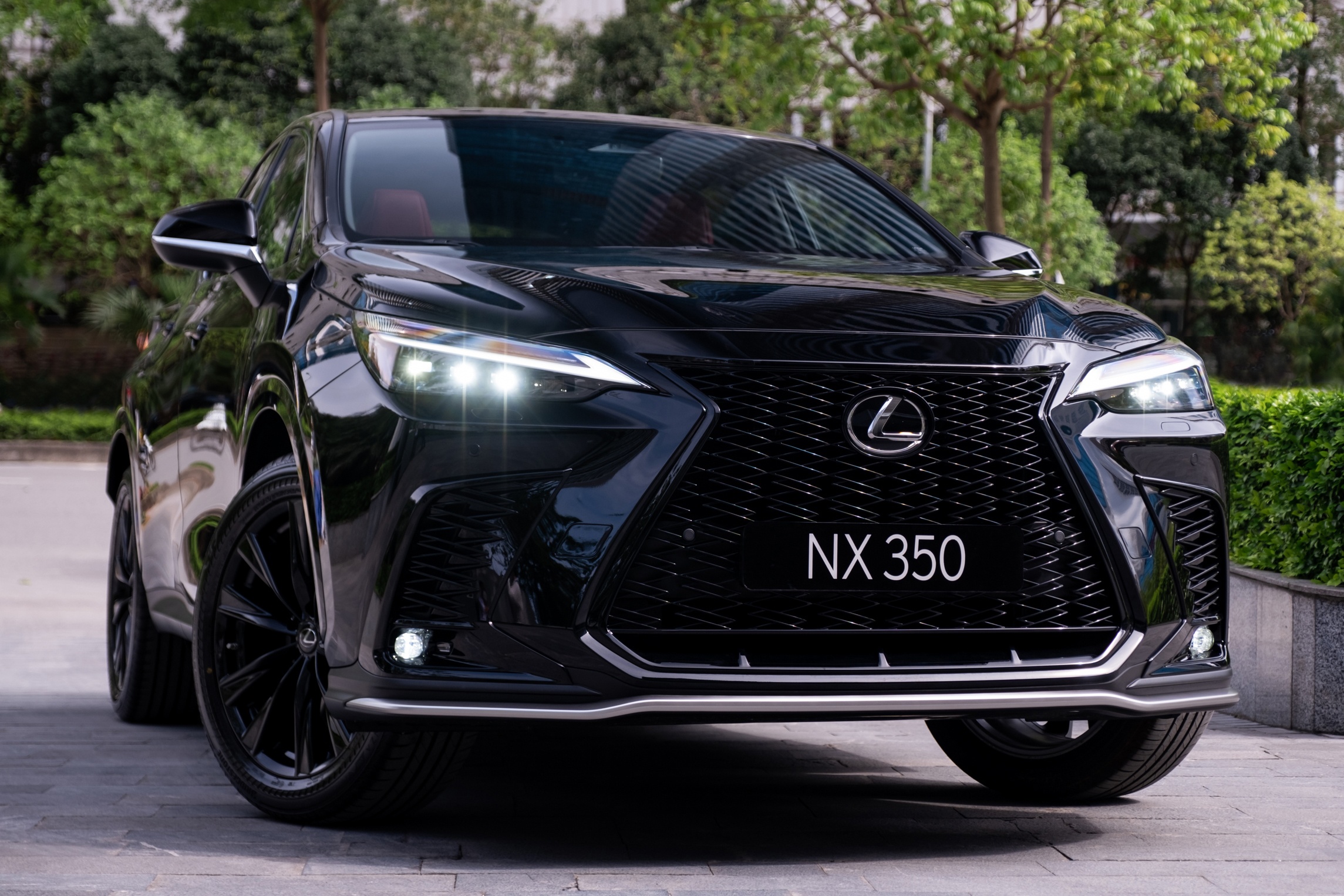 Lexus trieu hoi NX350 vi loi phanh do tai Viet Nam hinh anh