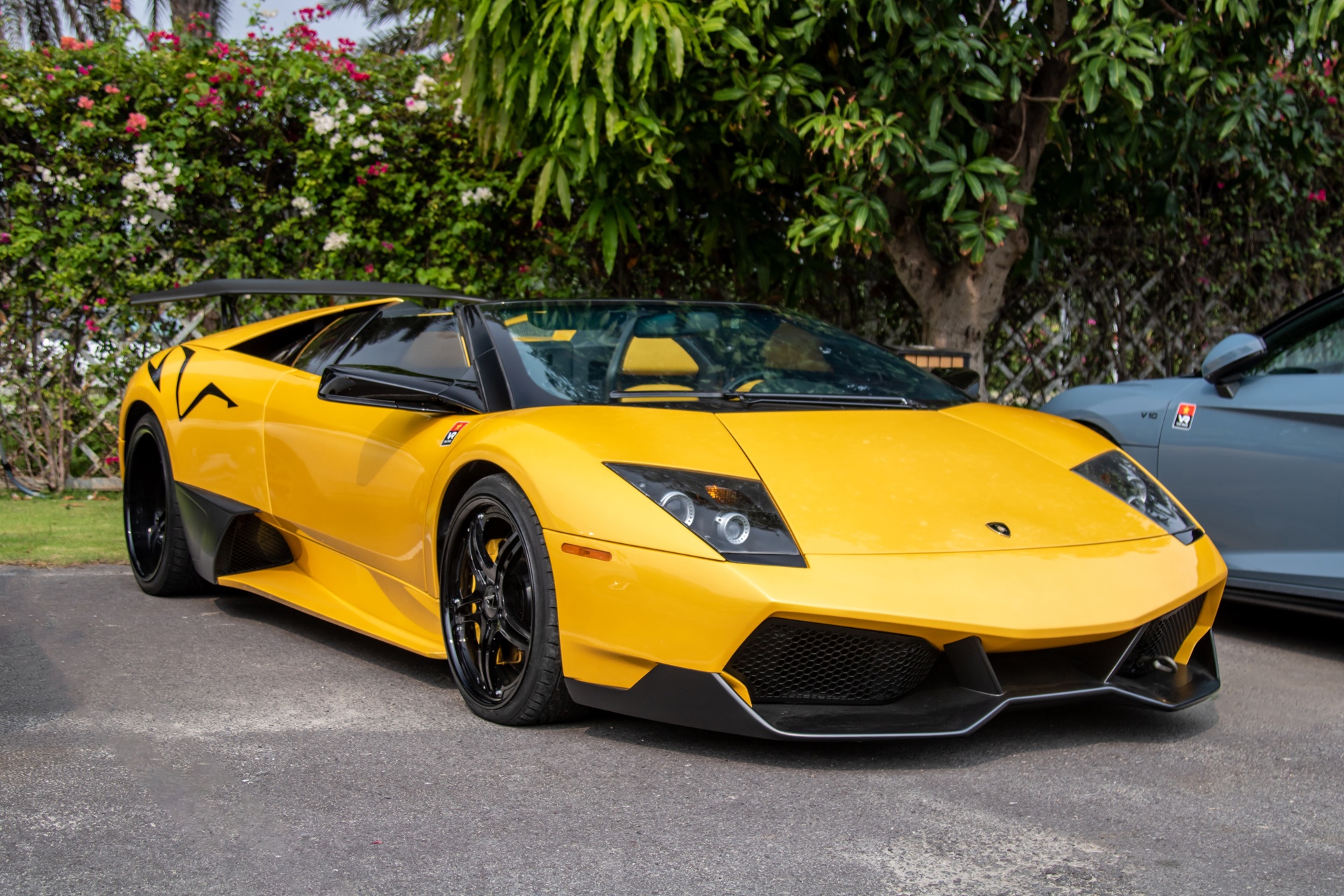 Lamborghini Murcielago Roadster anh 2