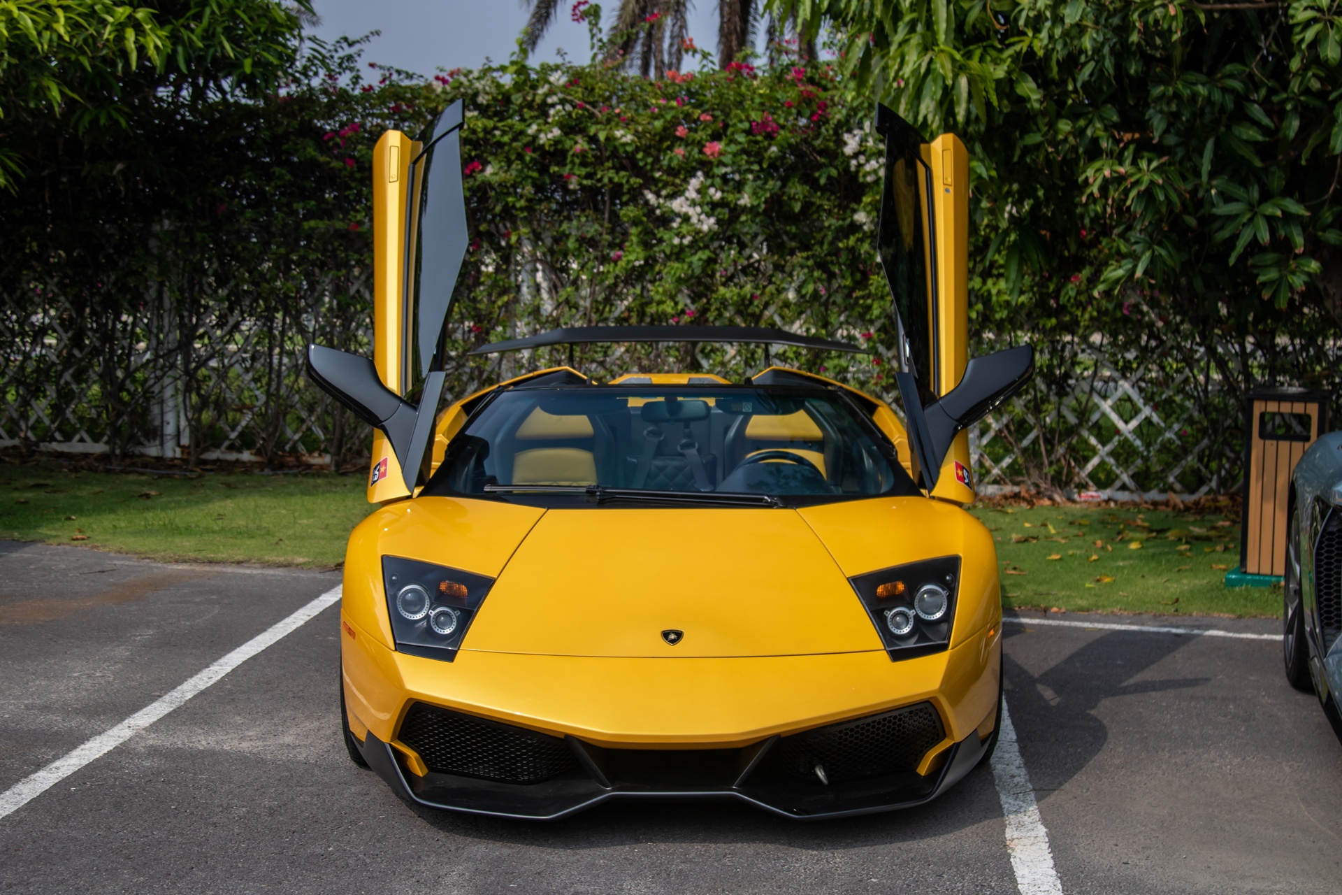 Lamborghini Murcielago Roadster ảnh 10 Lamborghini Murcielago Roadster anh 10
