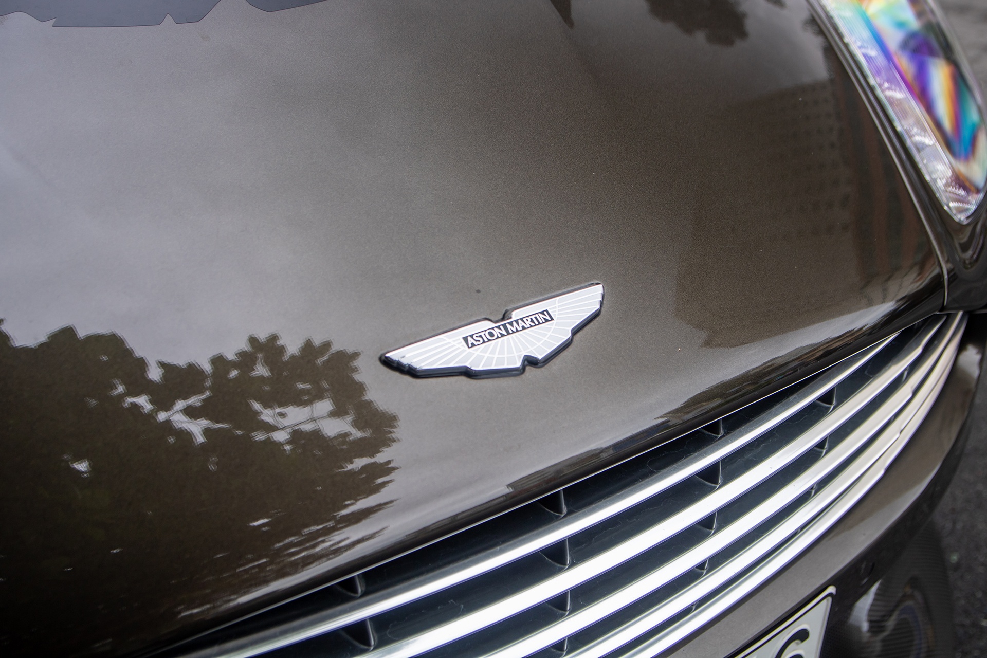 Dang Le Nguyen Vu anh 6