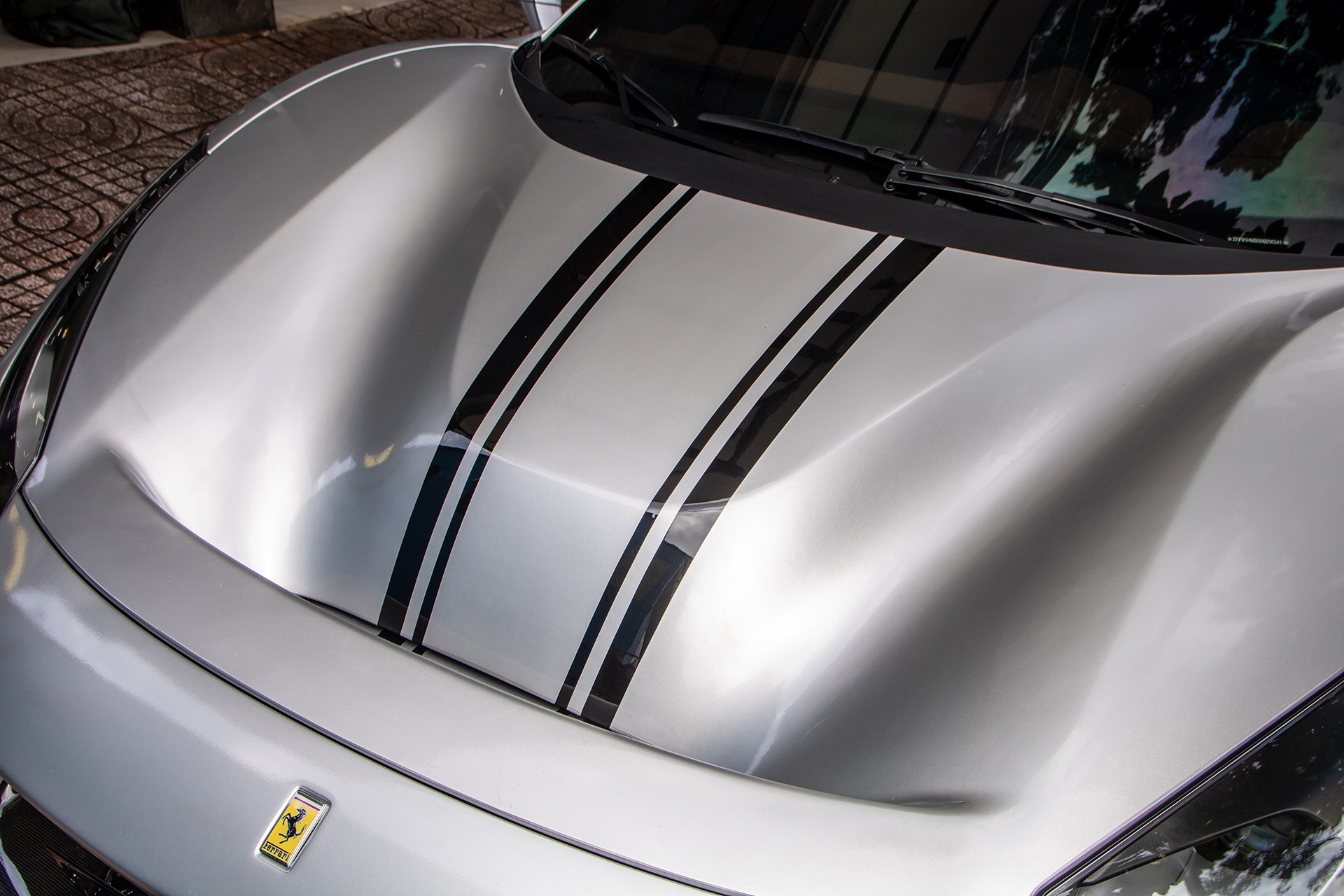 Đặng Lê Nguyên Vũ ảnh 8 Dang Le Nguyen Vu anh 8