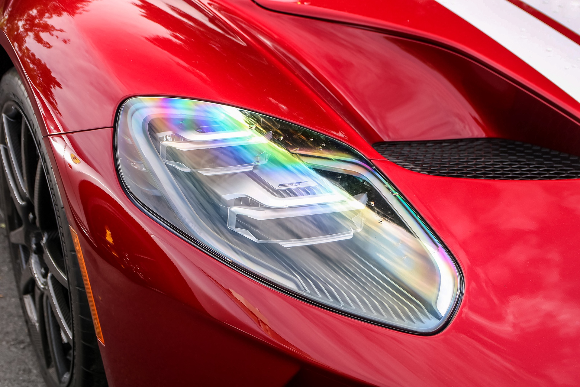 Dang Le Nguyen Vu anh 7