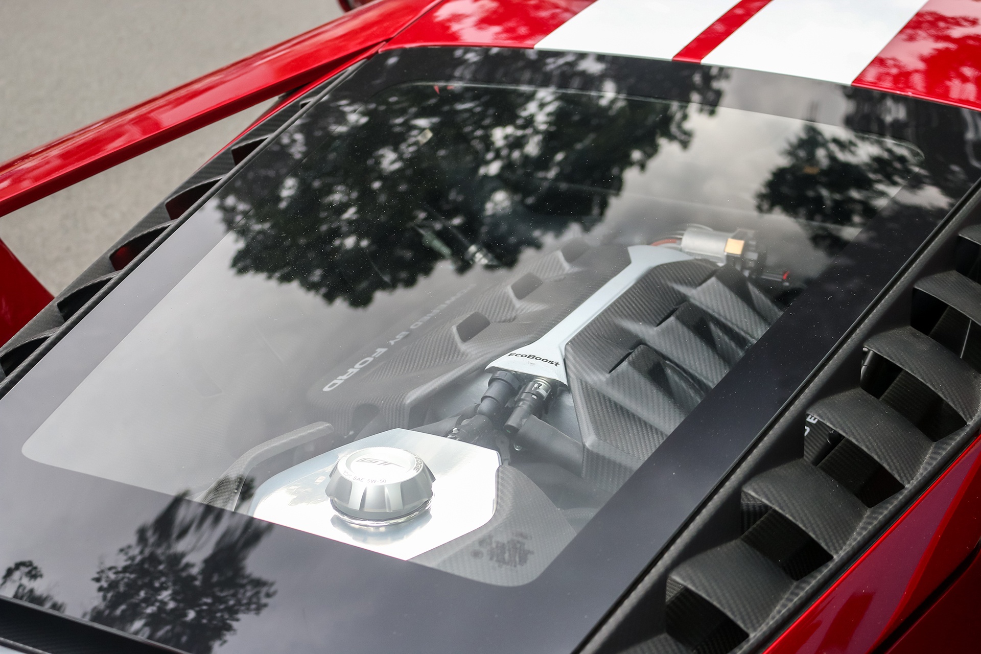 Dang Le Nguyen Vu anh 10