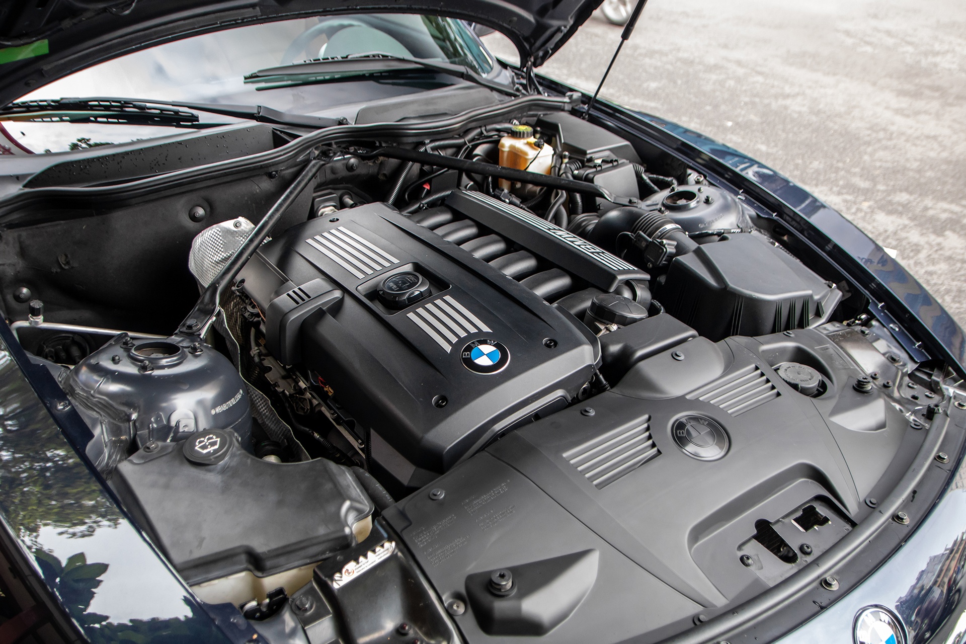 Dang Le Nguyen Vu anh 9