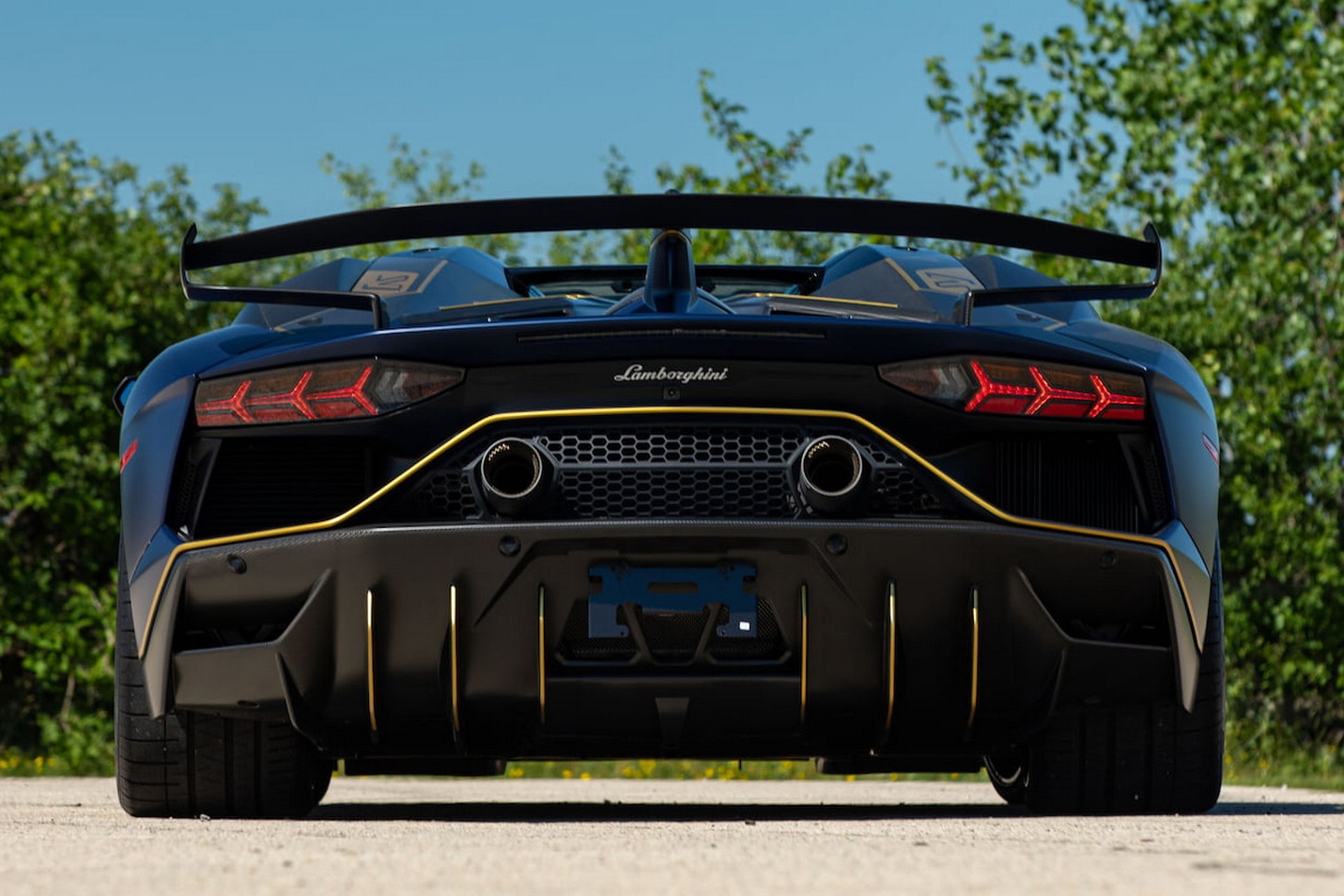 Lamborghini Aventador SVJ 63 Roadster anh 5