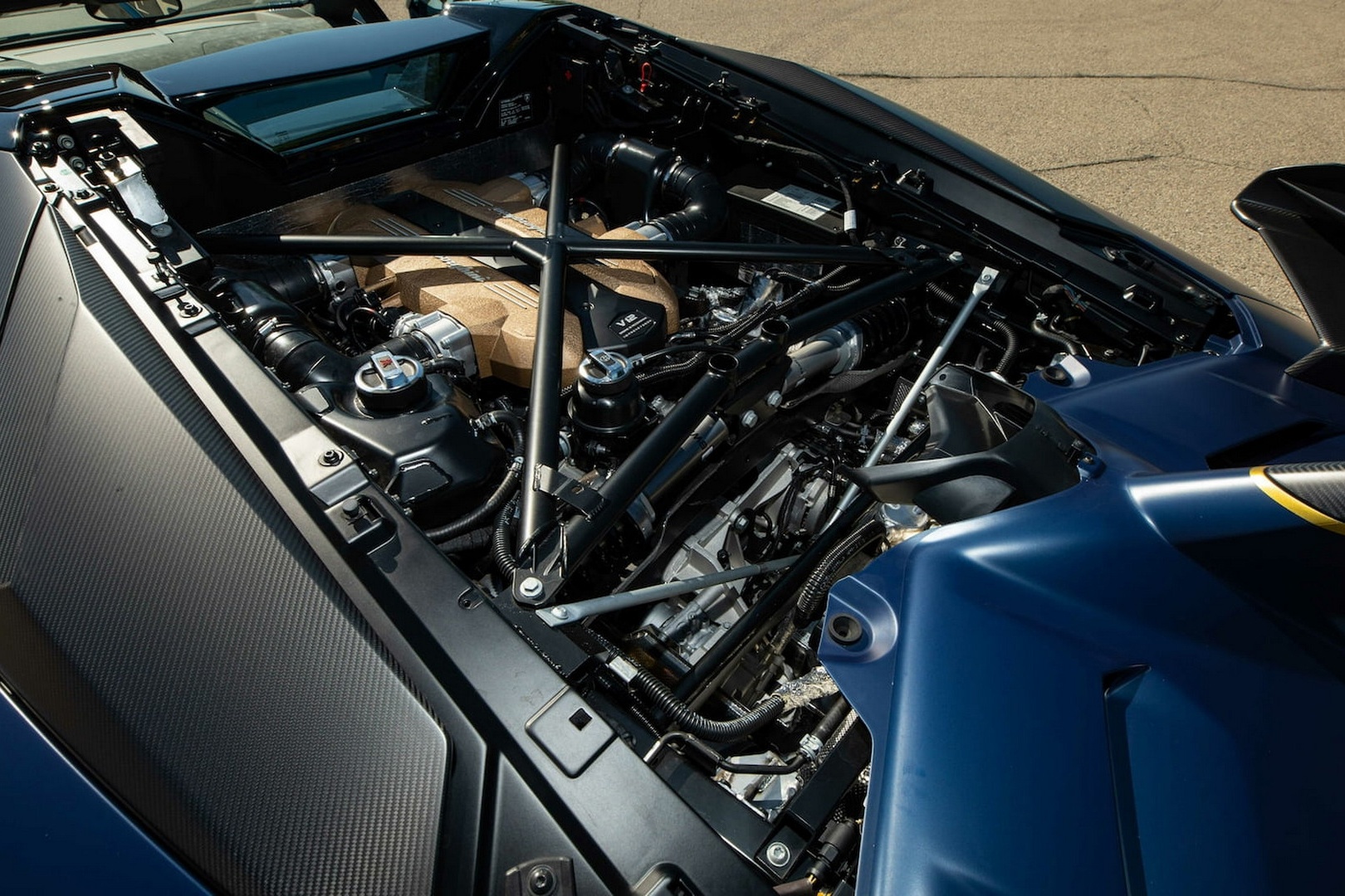 Lamborghini Aventador SVJ 63 Roadster anh 8