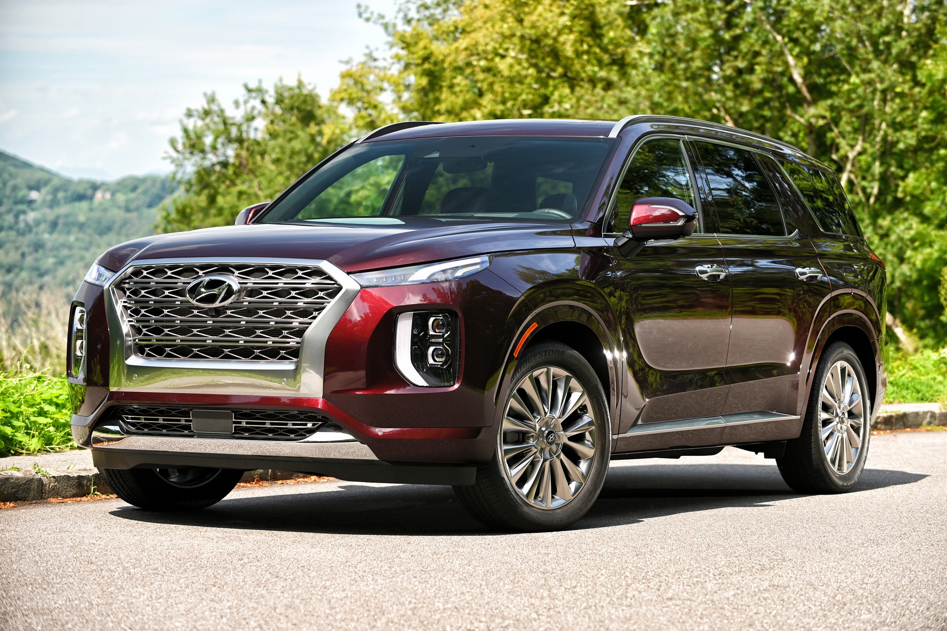 Hon 120.000 xe Hyundai Palisade dinh loi can gat nuoc hinh anh