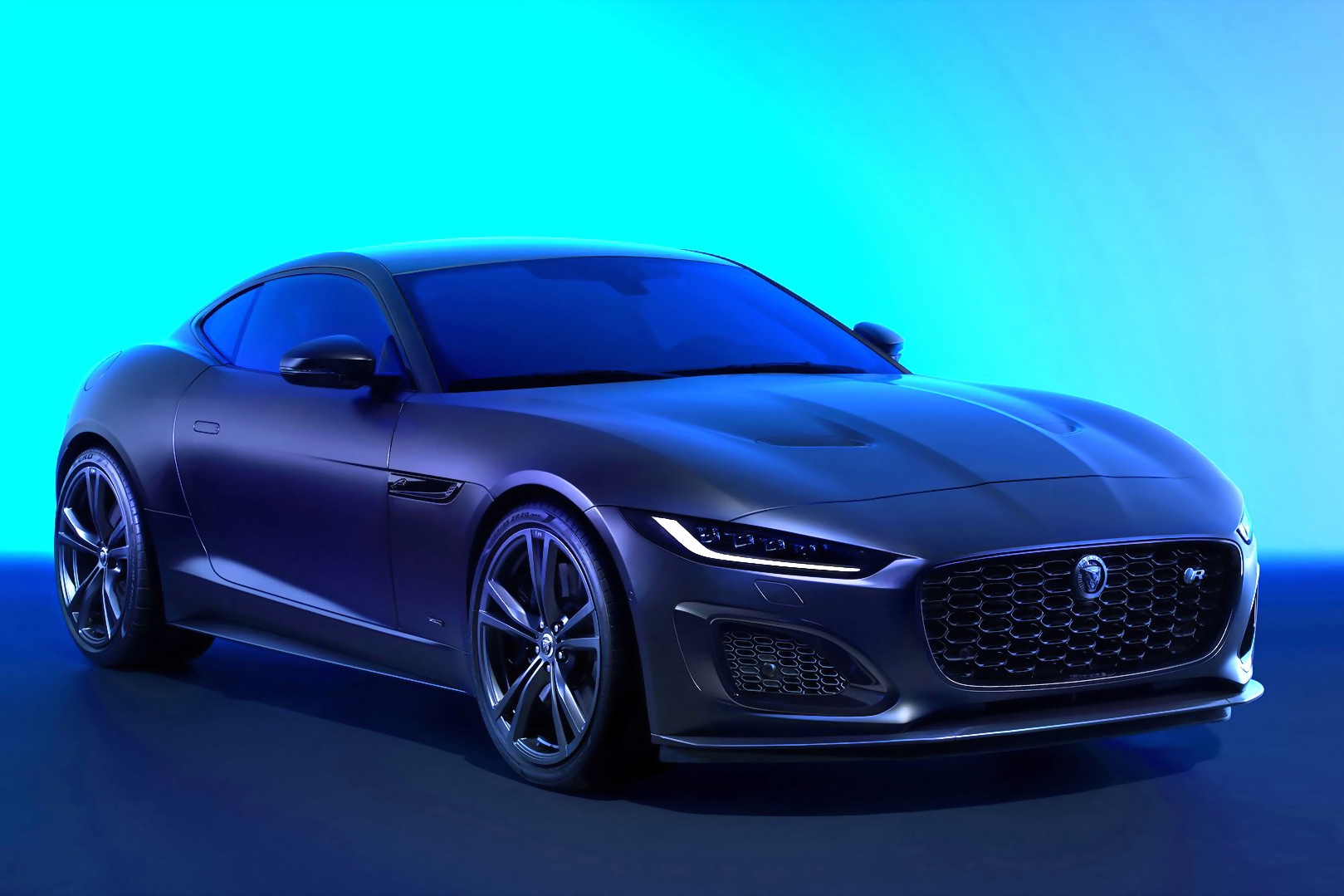 Jaguar  ảnh 1 Jaguar anh 1