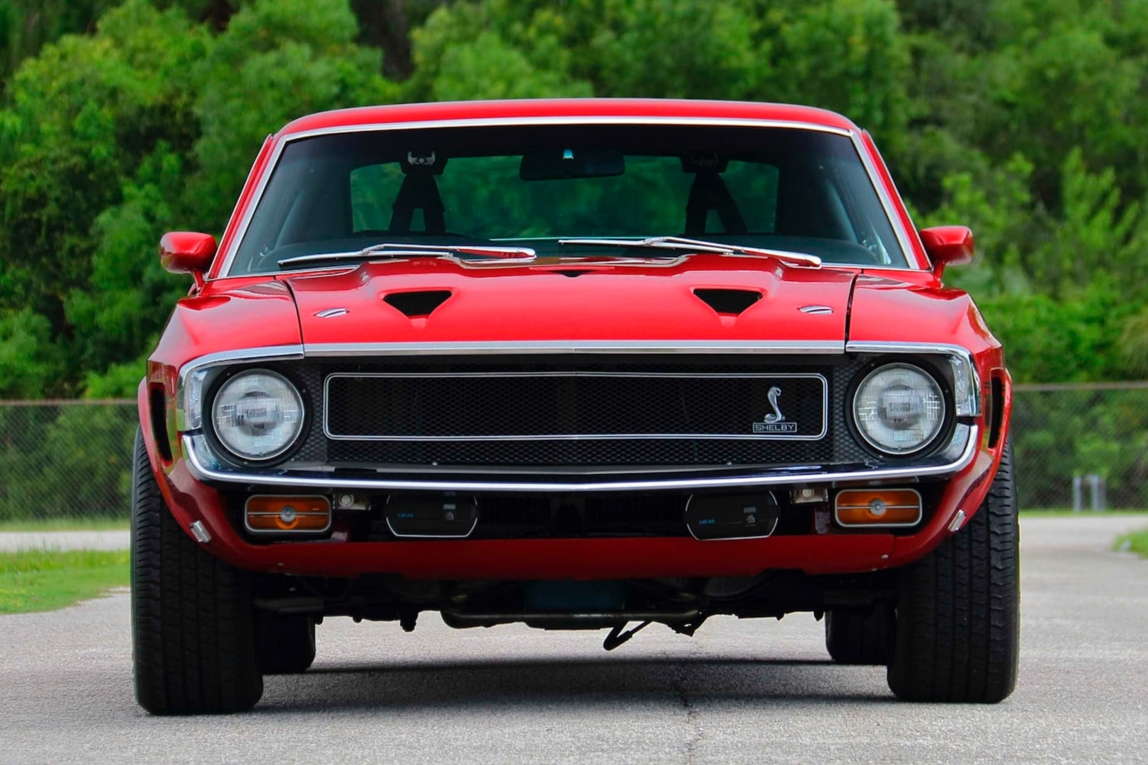 Ford Mustang Shelby GT500 anh 3