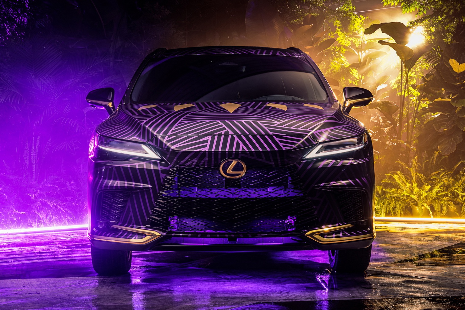 Black Panther ảnh 4 Black Panther anh 4