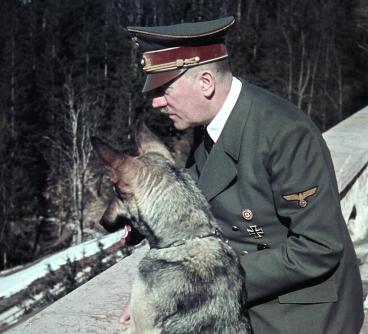 Cuoc song doi thuong cua trum phat xit Adolf Hitler - Ky cuoi hinh anh