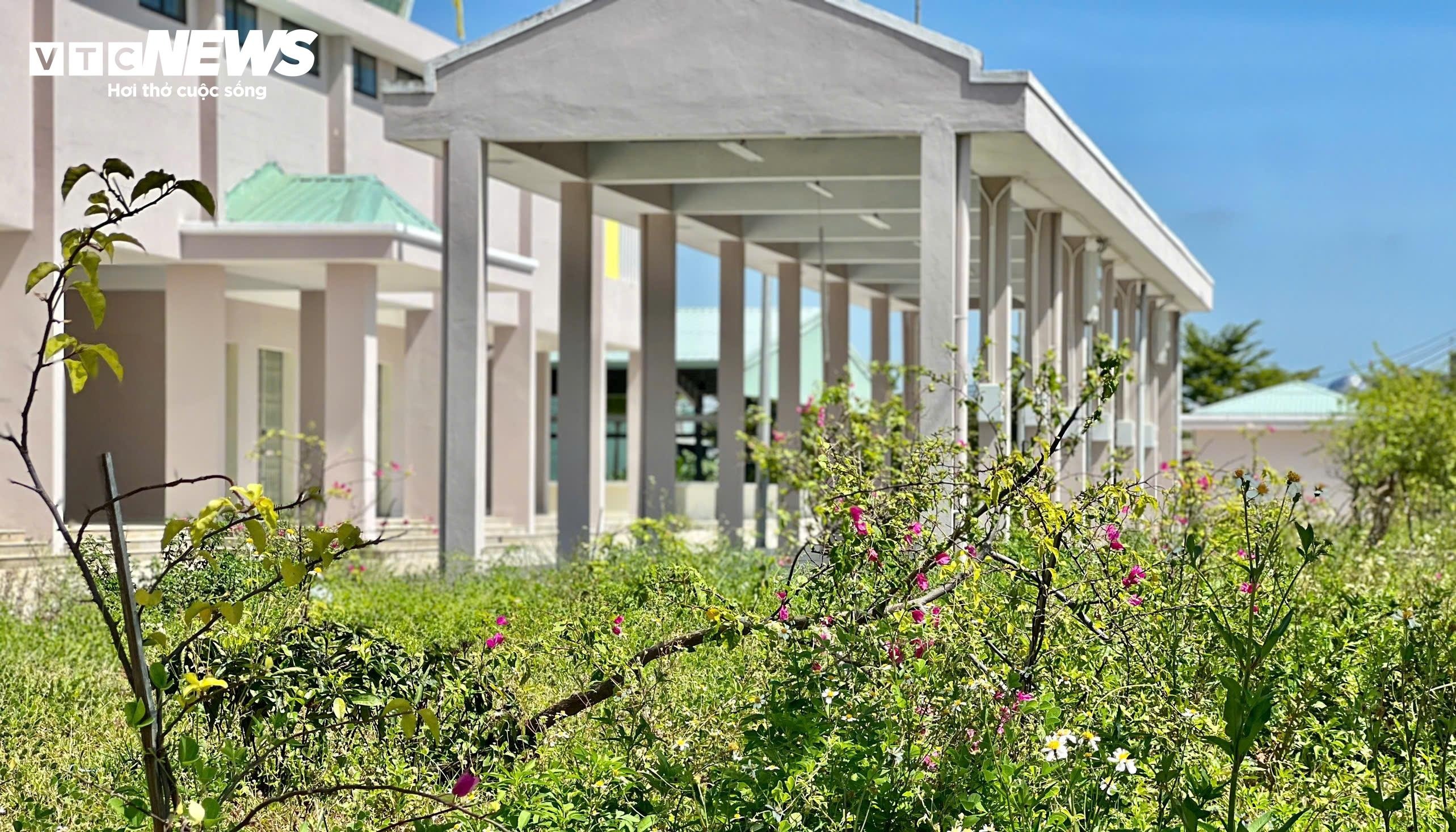 Cho Chien Dan dap chieu anh 4