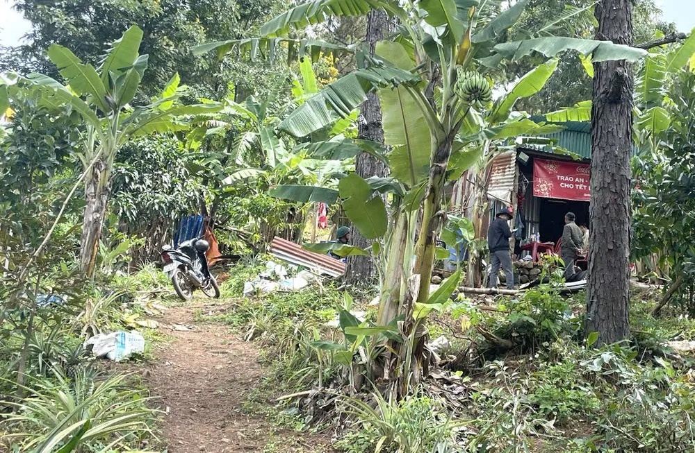 Gan 100 nguoi tim be hai tuoi mat tich bi an o Lam Dong hinh anh