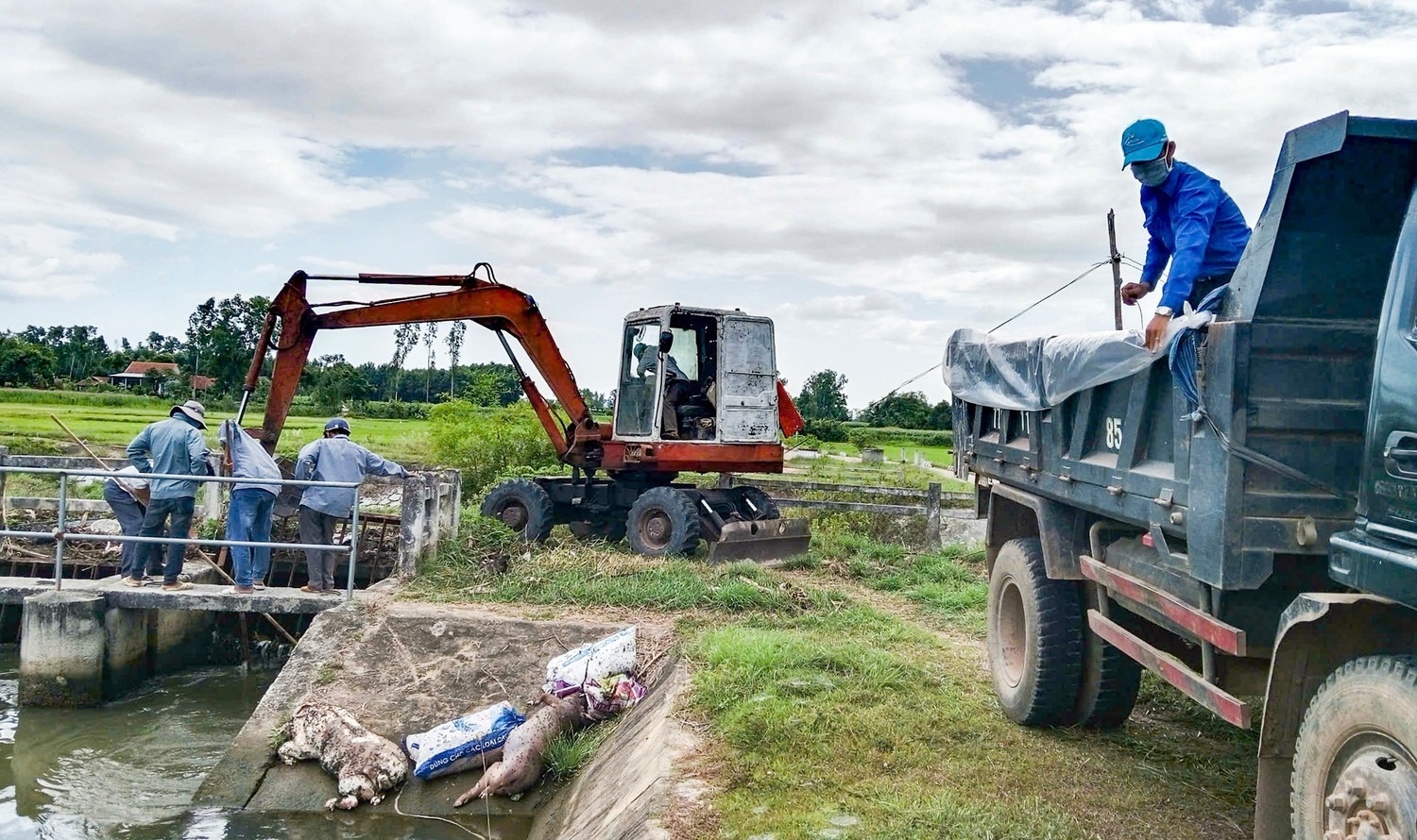 Xac heo chet duoc vut day kenh muong o Gia Lai hinh anh