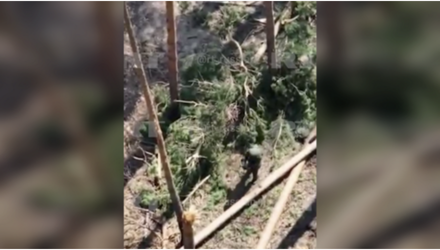 Video binh si Nga dung tay khong bat song UAV cua Ukraine hinh anh