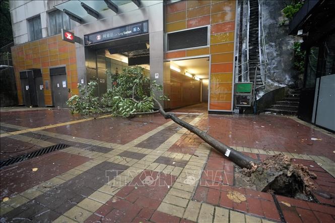 Bao Wipha 'can quet' Trung Quoc: Giao thong te liet, kinh te thiet hai hinh anh