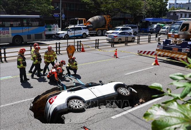 Tho san ho tu than Singapore hinh anh