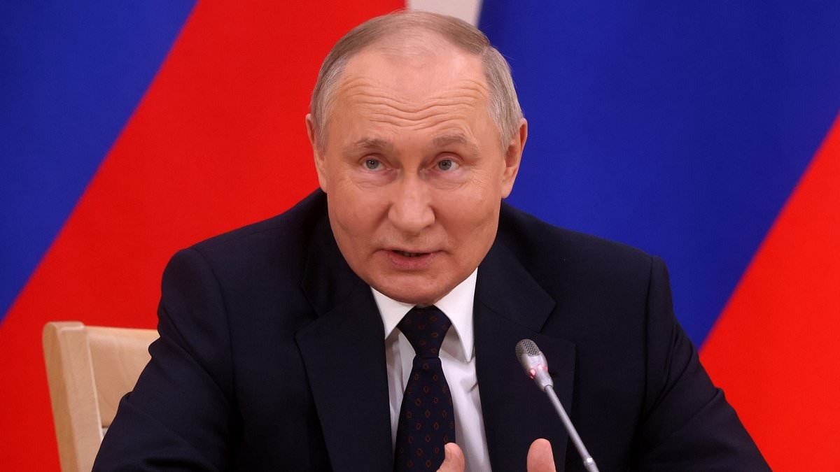 Tong thong Putin nhan manh mong muon hoa binh tai Ukraine hinh anh