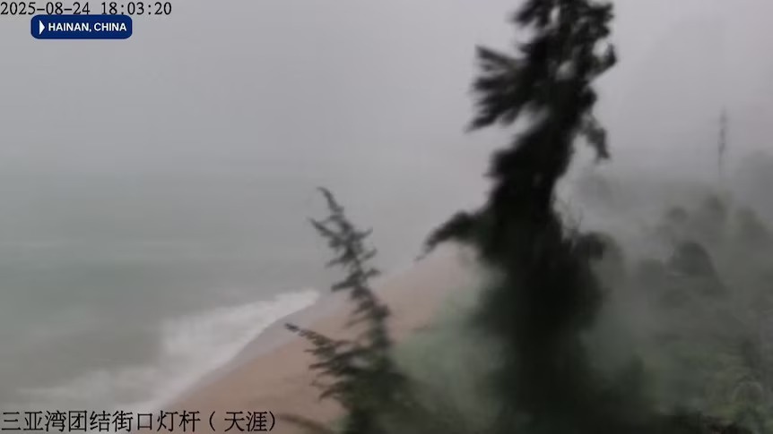 Bao Kajiki gay mua lon tai Hai Nam hinh anh