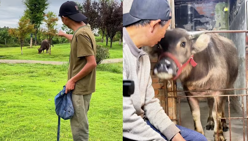 Trao luu khoe qua khu tu toi de noi tieng gay tranh cai o Trung Quoc hinh anh