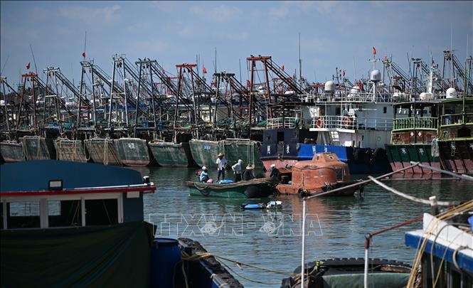 Hon 1 trieu nguoi Trung Quoc so tan vi bao Ragasa hinh anh