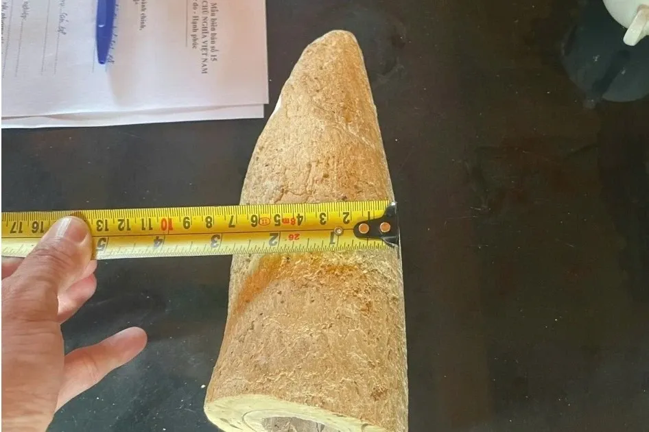 Nhat duoc vat nghi nga voi duoi song roi rao ban tren mang hinh anh