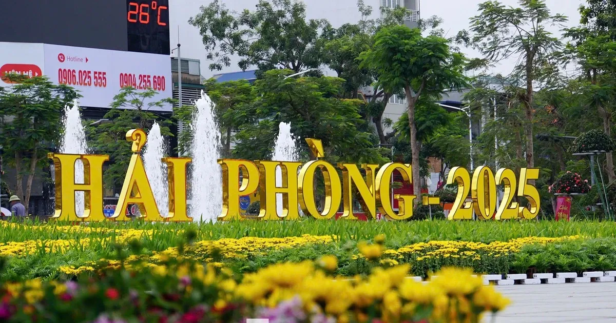 Hai Phong anh 2