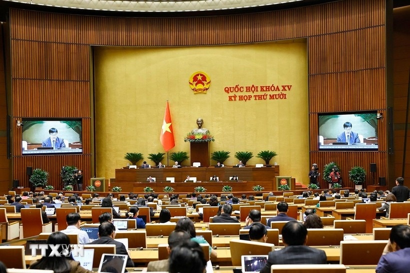 Quoc hoi thao luan co che dac thu cho Da Nang va TP Ho Chi Minh hinh anh