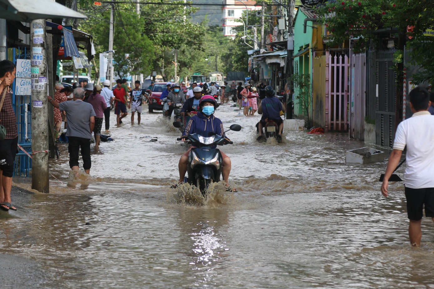 Nguoi dan Khanh Hoa chong choi dot ngap moi hinh anh
