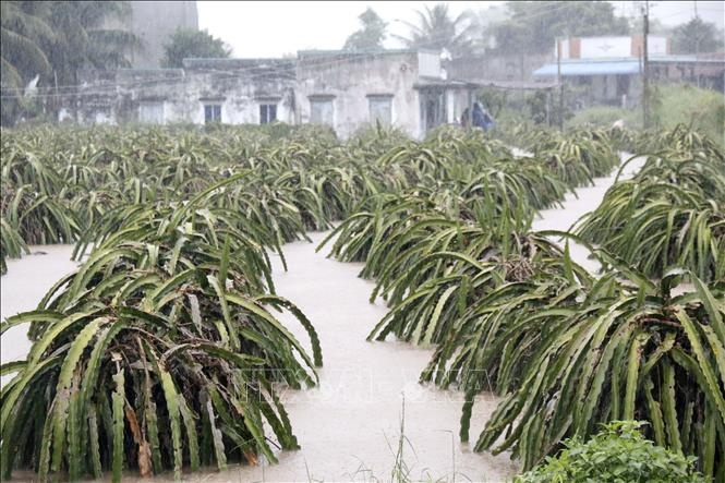 Mua lon keo dai, nhieu khu vuc o Lam Dong ngap nang tro lai hinh anh