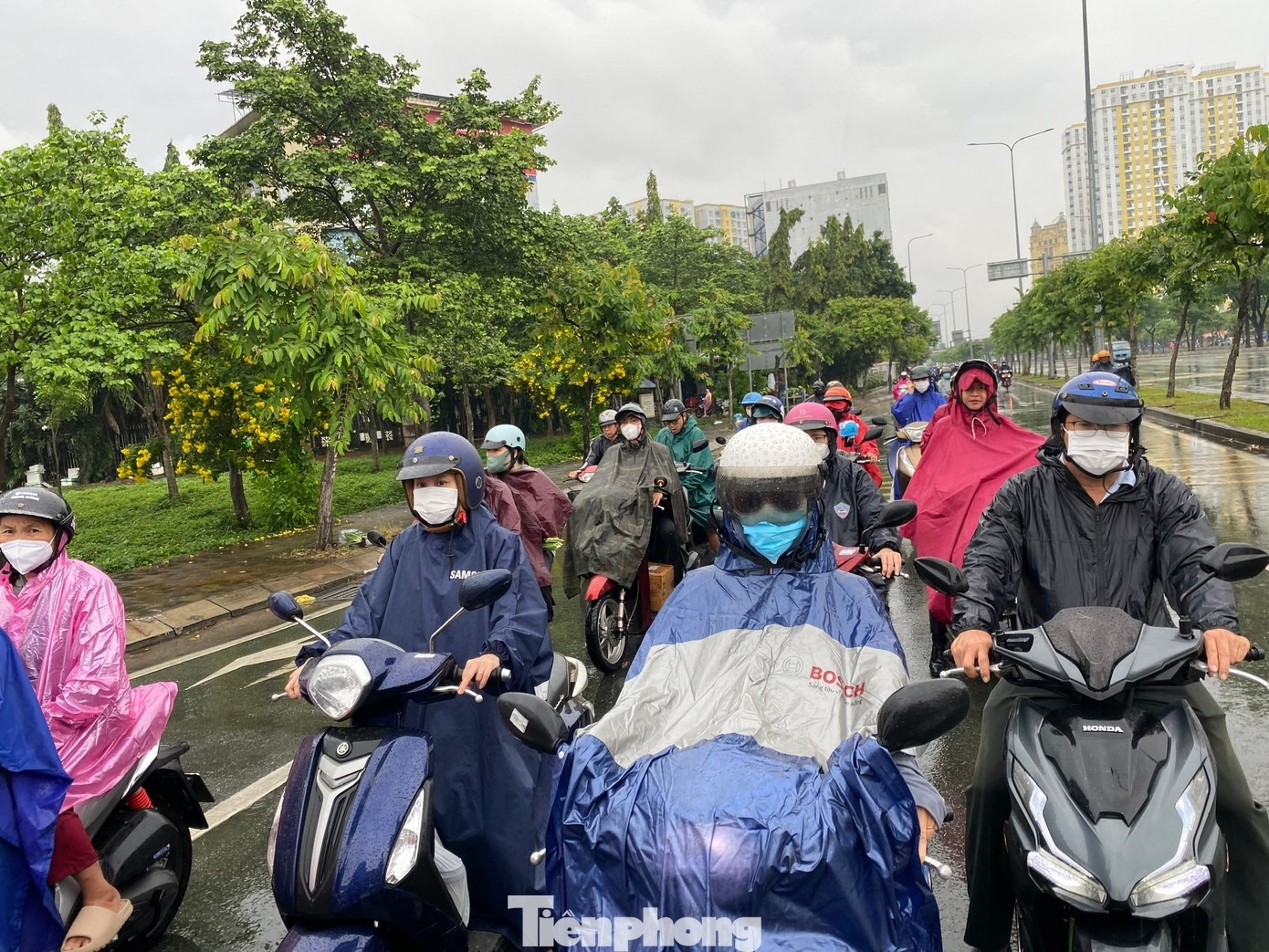 Bau troi TP.HCM toi sam, mua lon dien rong tu sang som hinh anh