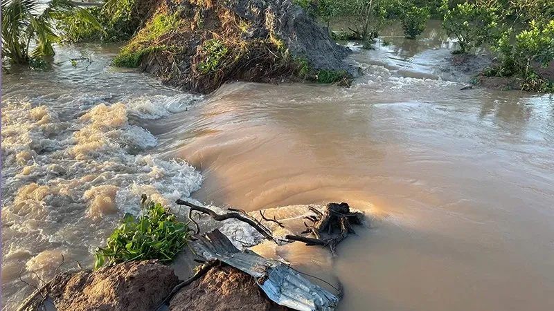 Vinh Long: Sat lo doan de bao con Thanh Long giua dem khuya hinh anh