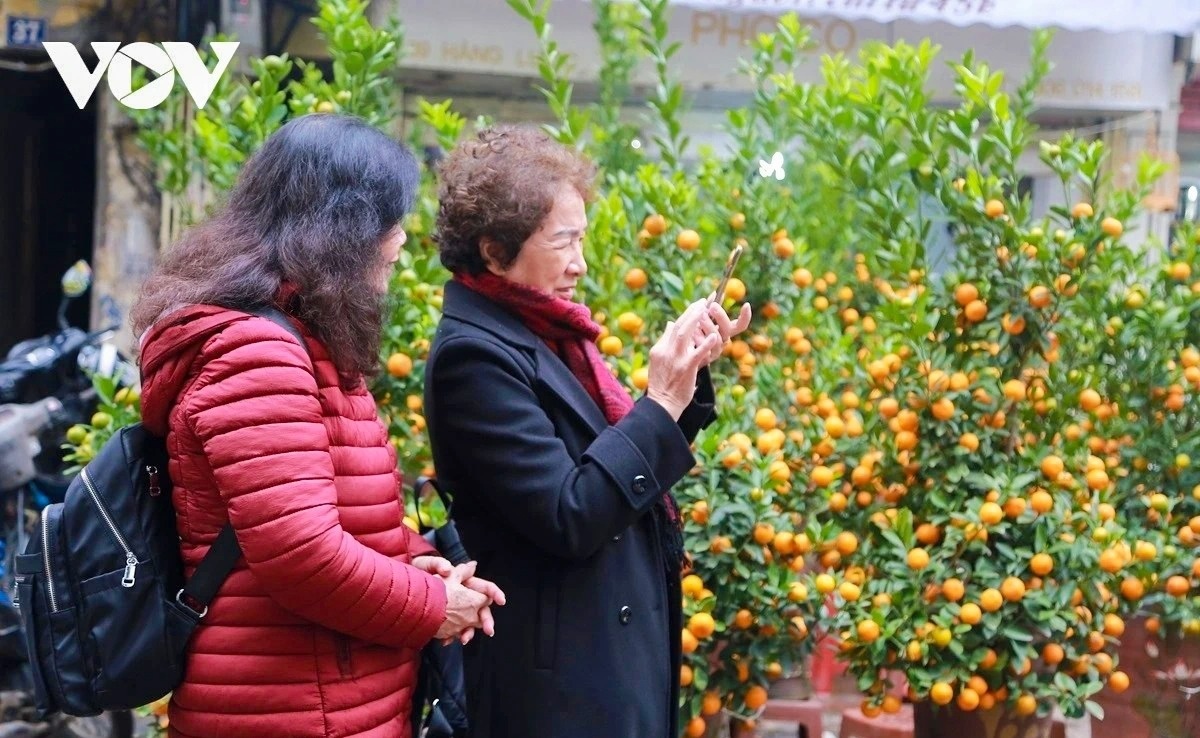 Tet Nguyen dan 2026 anh 2