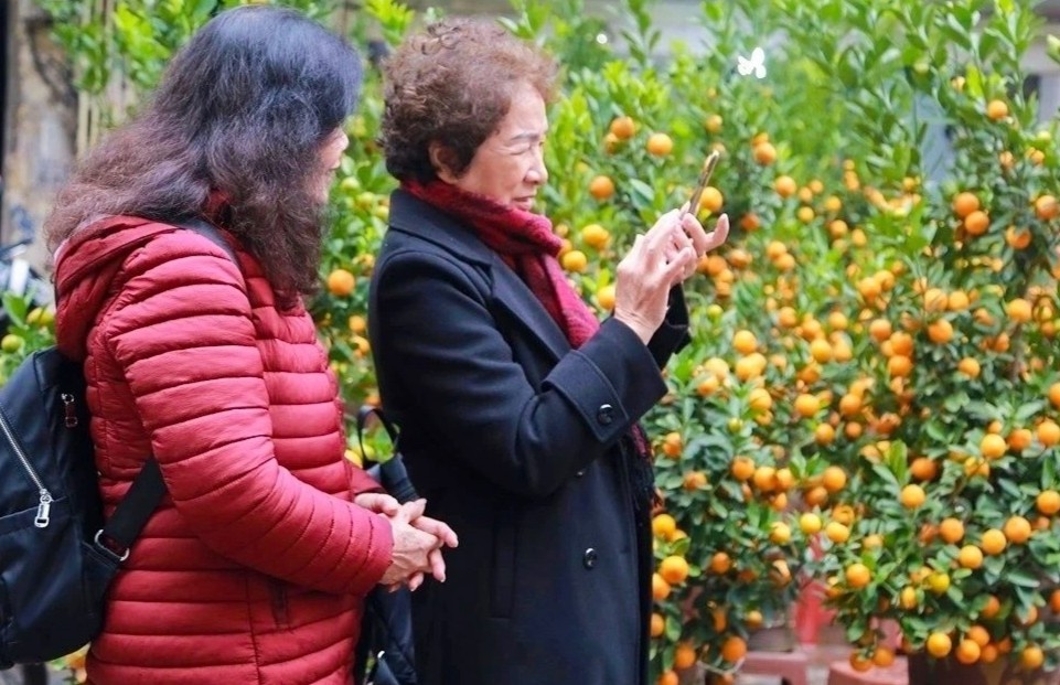 Mien Bac co the xuat hien ret dam, ret hai dip Tet Nguyen dan 2026 hinh anh