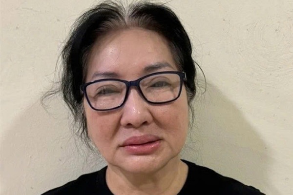 Chu tich Quoc Cuong Gia Lai Nguyen Thi Nhu Loan nop 100 ty, 4 thua dat hinh anh