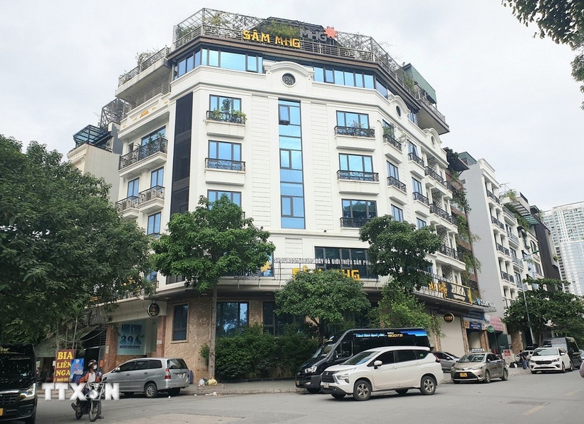 Cong ty My Hanh,  sam Ngoc Linh,  Cay sam Ngoc Linh,  DA sam Ngoc Linh,  Pham My Hanh anh 1