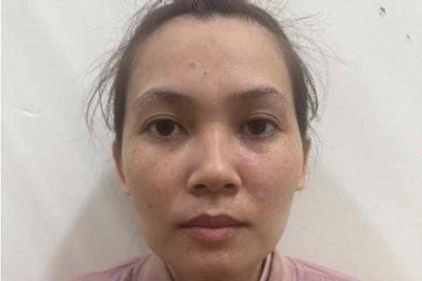 Dung Facebook ao 'nhap vai' Viet kieu de lua dao hinh anh